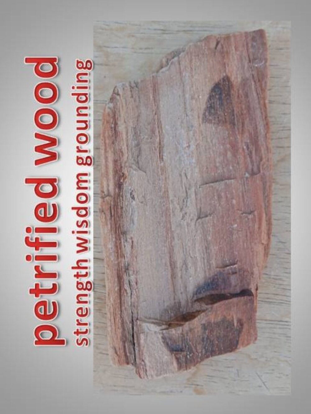 #4 Petrified Wood chunk stone fossil FORTUNE strength CALMNESS